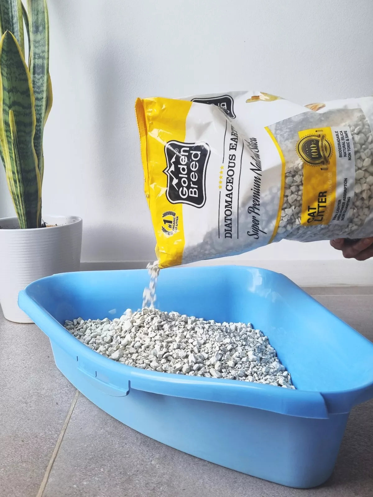 Golden Breed - Green Apple Scented Cat Litter (8.8 lbs)