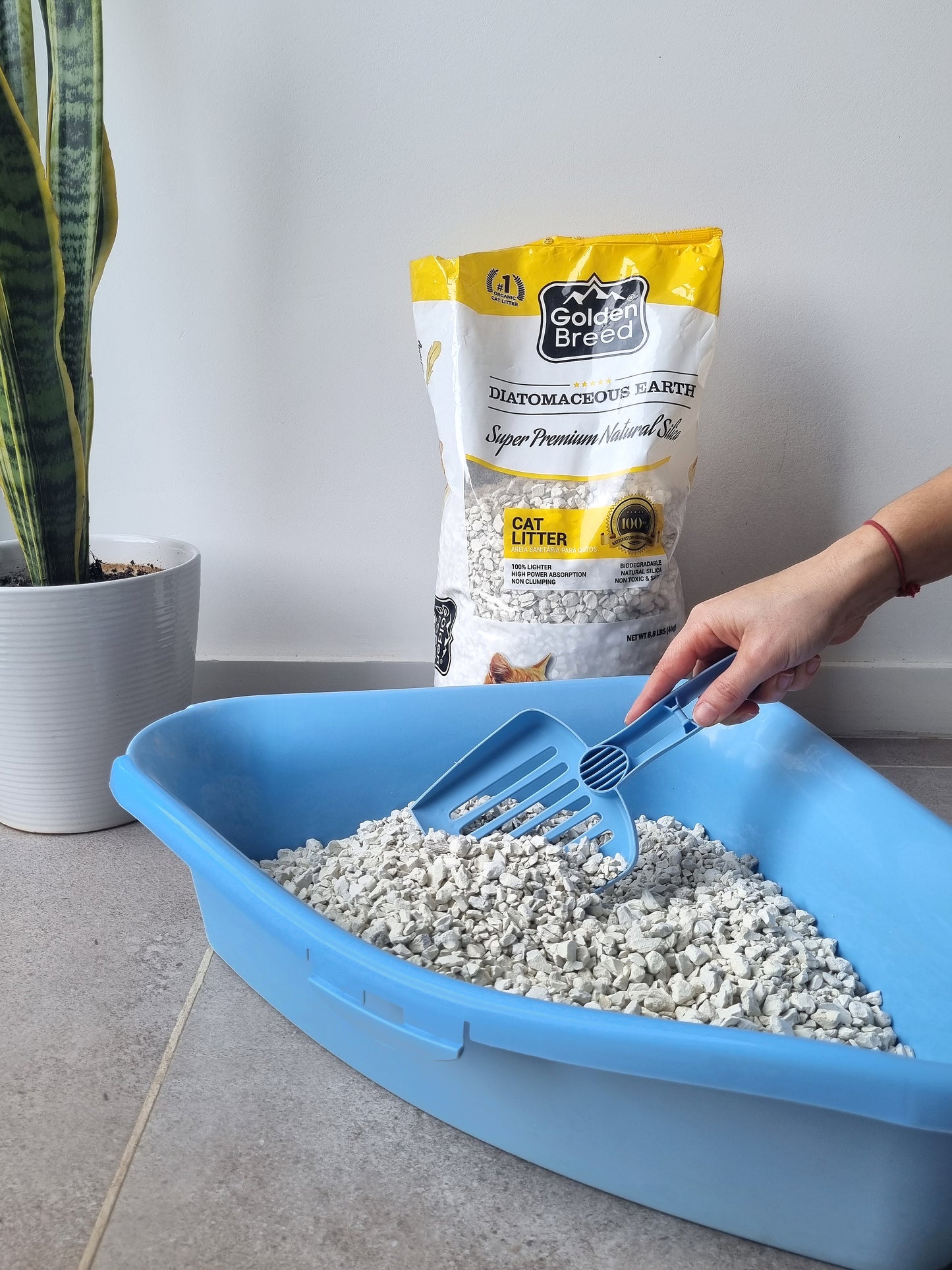 Golden Breed - Unscented Cat Litter (8.8 lbs)