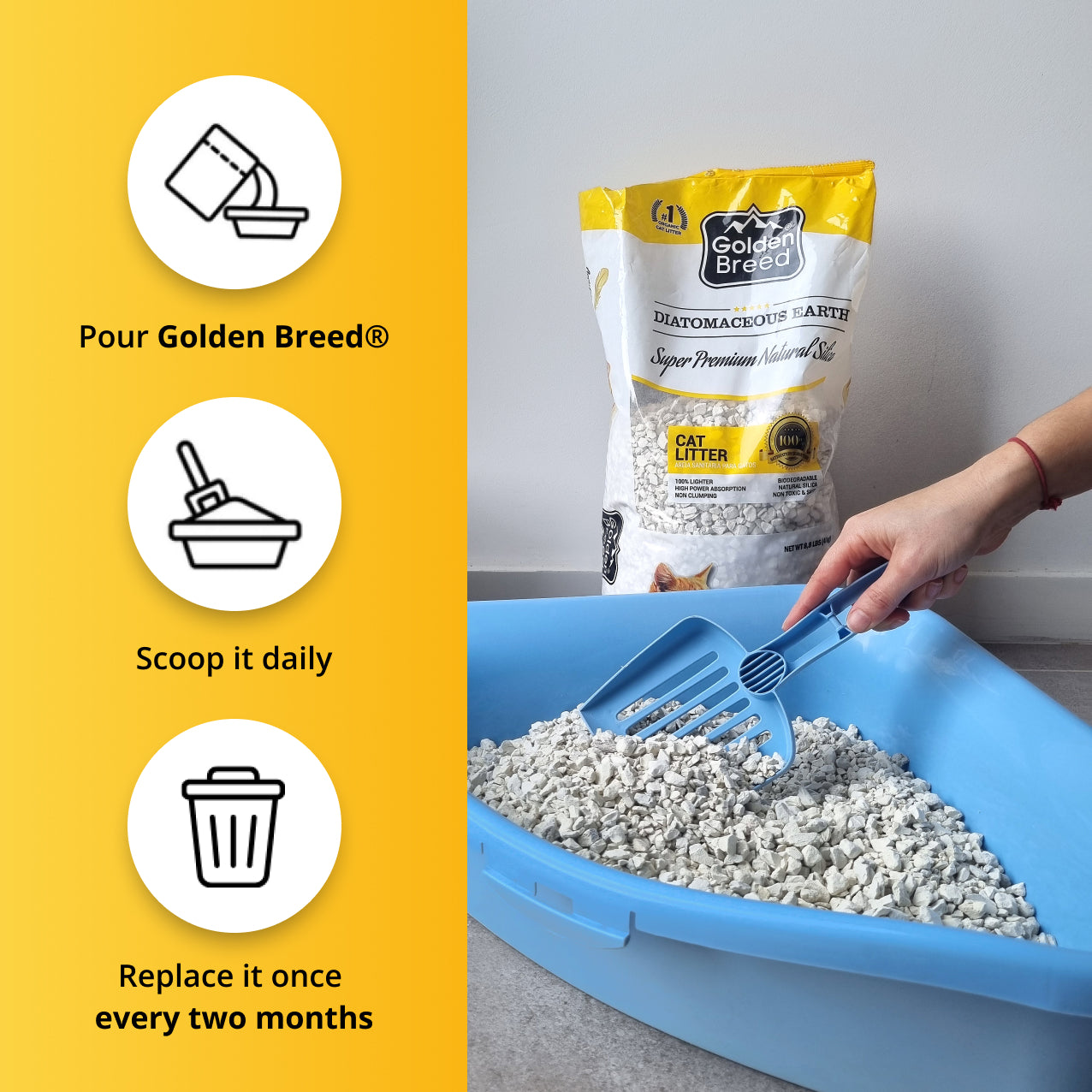 Golden Breed - Unscented Cat Litter (8.8 lbs)