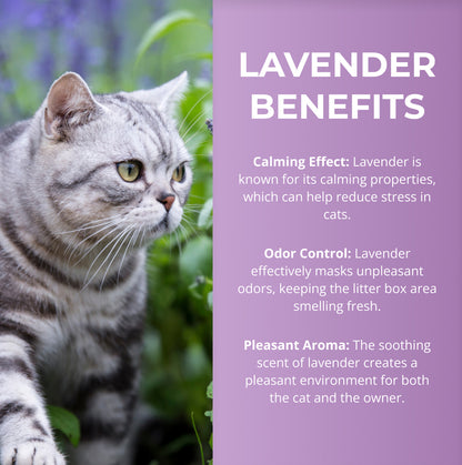 Golden Breed - Lavender Scented Cat Litter (8.8 lbs)