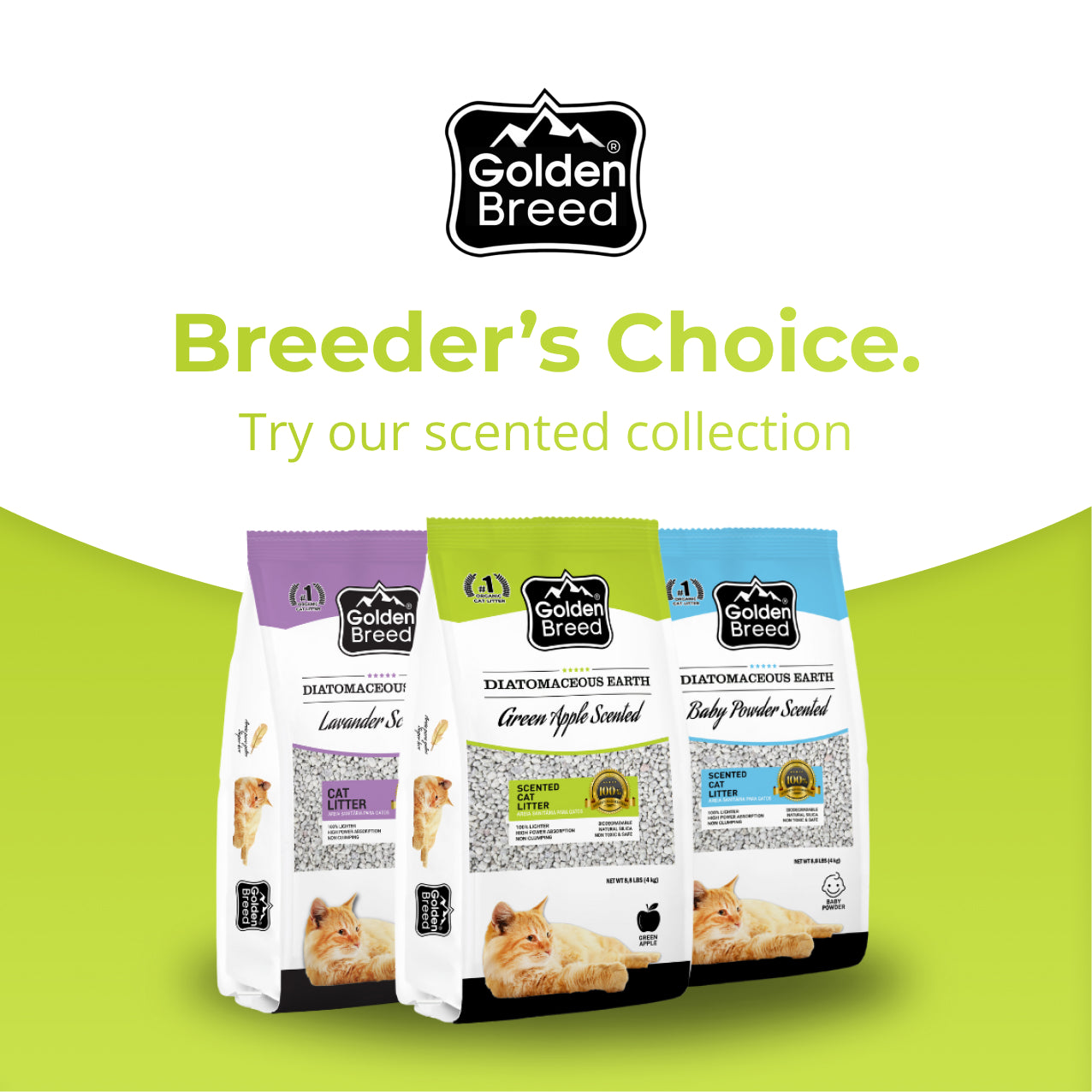 Golden Breed - Green Apple Scented Cat Litter (8.8 lbs)